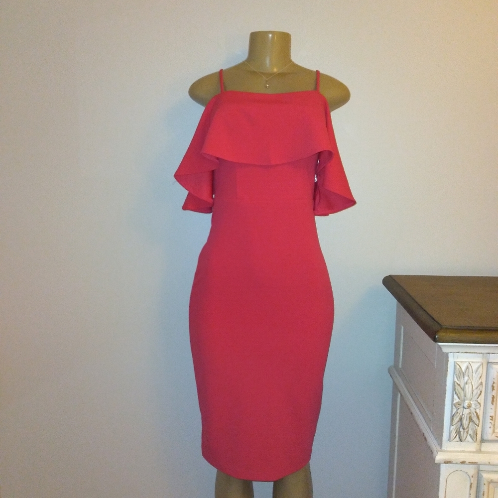 Premier Amour cocktail party dress size 4 in a shell pink color.  New with tags.